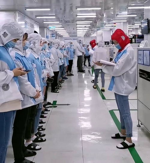 深圳某工厂 新员工站成一排等待培训,打工不容易,说出来都是泪