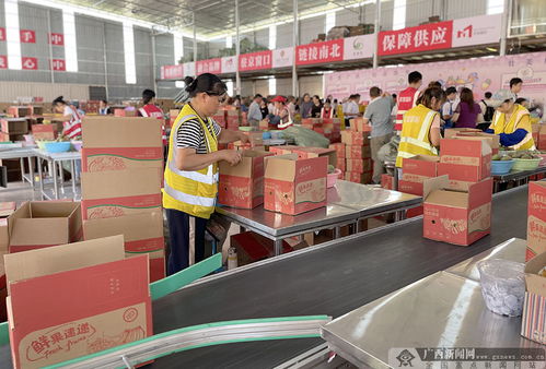 广西驻京平台企业农产品 南宁 产地仓建成运营