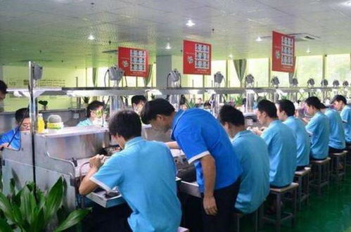 蓬安20岁小伙考上大学 玩具厂打工挣学费