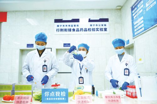 守卫邕城幸福 食 光 护航百姓舌尖安全