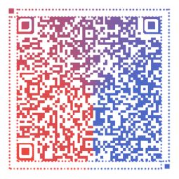 在南宁，我们共同开启职场新征程